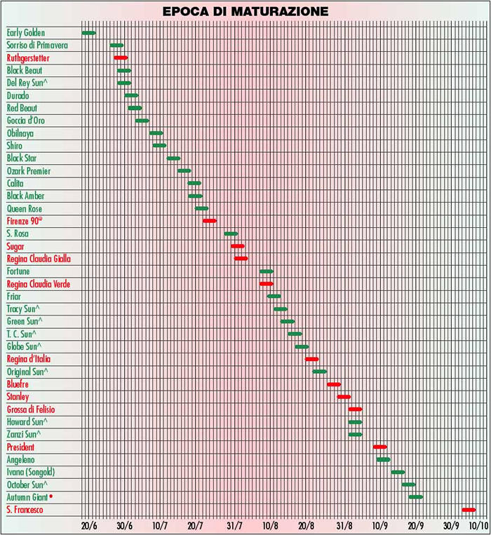 Epoca di Maturazione